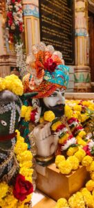 WhatsApp Image 2025-12-18 at 6.24.31 PM (2)